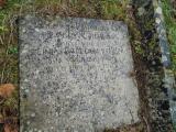 image of grave number 519916